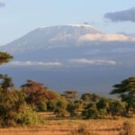What Is the Best Kilimanjaro and Safari Package