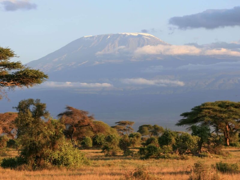What Is the Best Kilimanjaro and Safari Package