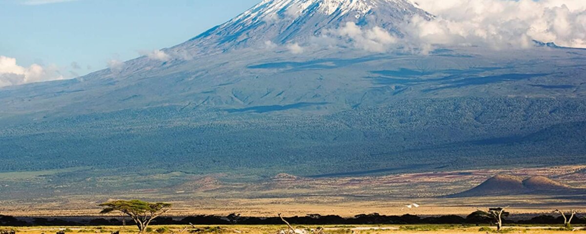 How Many Days Do I Need for Kilimanjaro and Safari