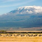 How Many Days Do I Need for Kilimanjaro and Safari