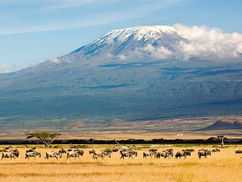 How Many Days Do I Need for Kilimanjaro and Safari