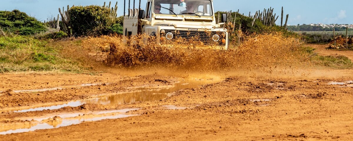 What Is Low Season Safari in Tanzania