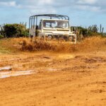 What Is Low Season Safari in Tanzania