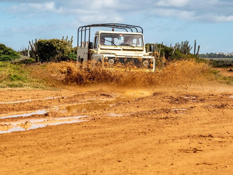 What Is Low Season Safari in Tanzania