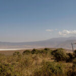 What Is Luxury Ngorongoro Safari