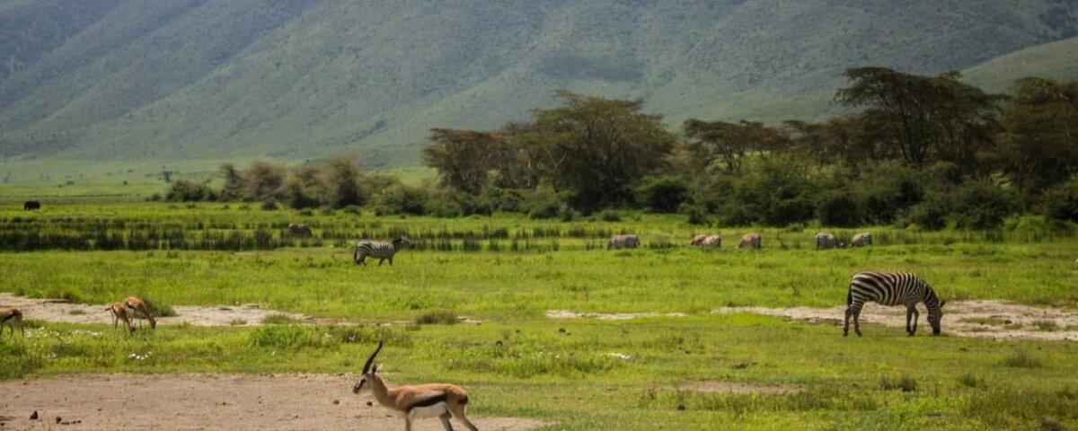 Is Ngorongoro Crater Worth Visiting