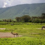 Is Ngorongoro Crater Worth Visiting