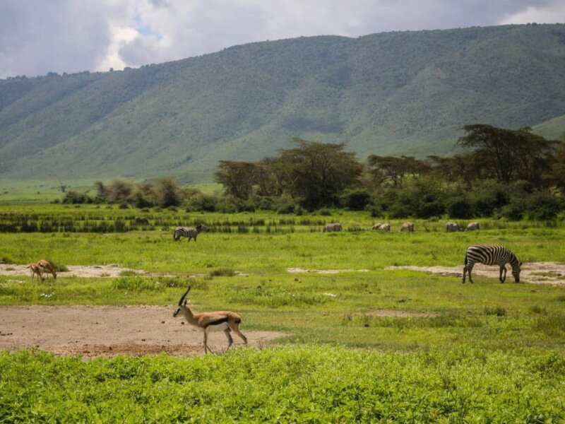 Is Ngorongoro Crater Worth Visiting