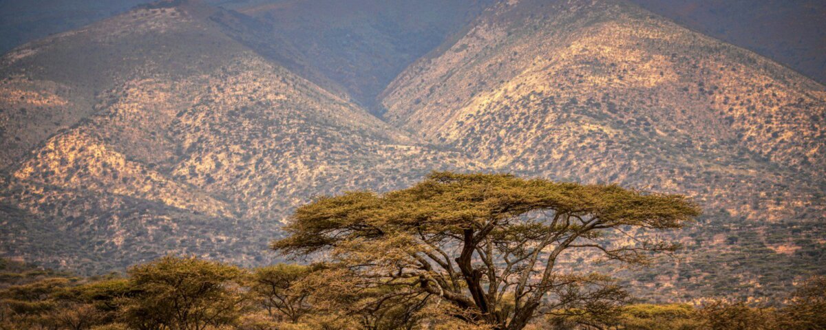 Can I Combine Ngorongoro and Serengeti