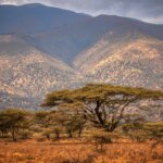 Can I Combine Ngorongoro and Serengeti