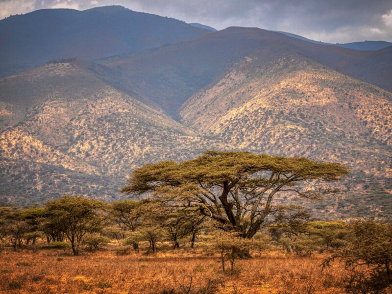 Can I Combine Ngorongoro and Serengeti