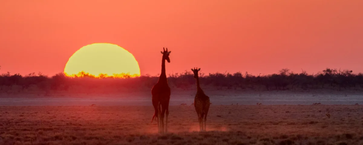 What Is the Weather Like in Serengeti