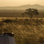 How Much Is Budget Safari in Tanzania