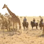 What Is the Best Safari for Teenagers