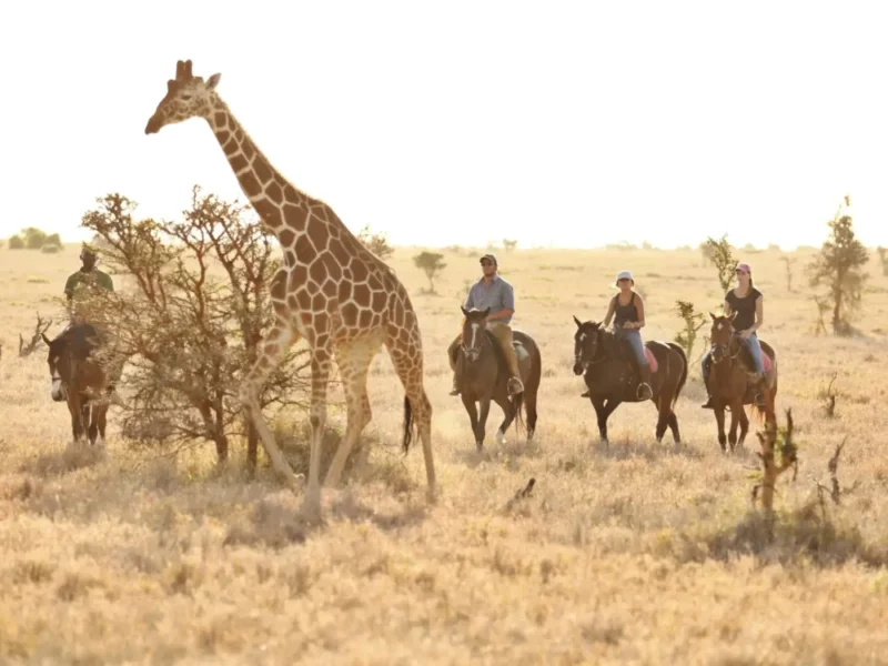 What Is the Best Safari for Teenagers