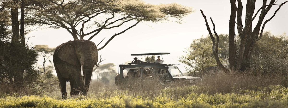 Are Luxury Tanzania Safaris Worth It
