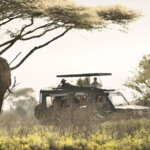 Are Luxury Tanzania Safaris Worth It