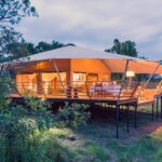 Which Luxury Camps Are Best in Serengeti