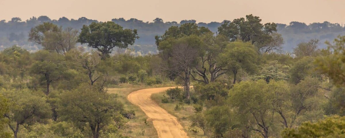 How Do I Get to Serengeti National Park