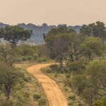 How Do I Get to Serengeti National Park