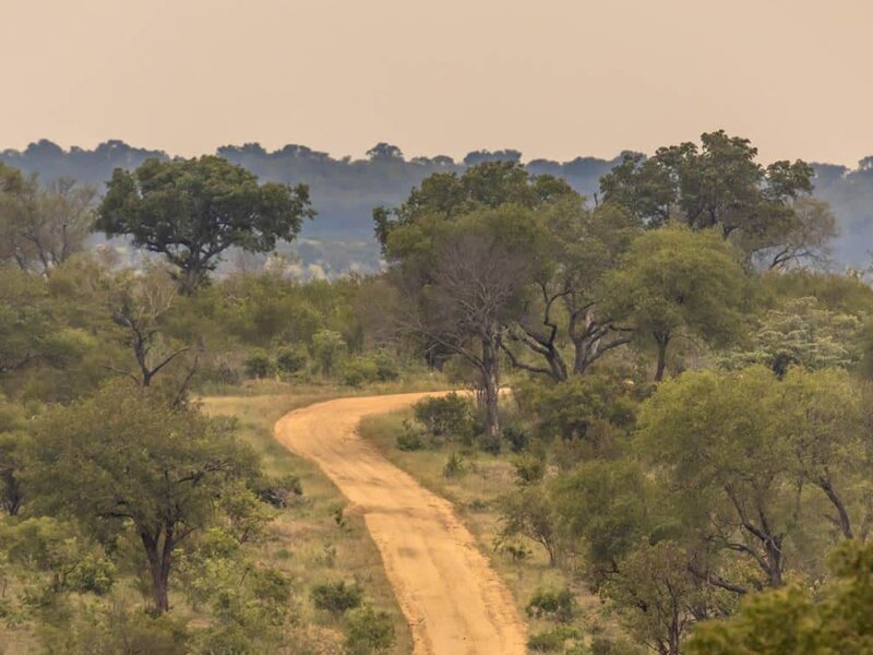 How Do I Get to Serengeti National Park