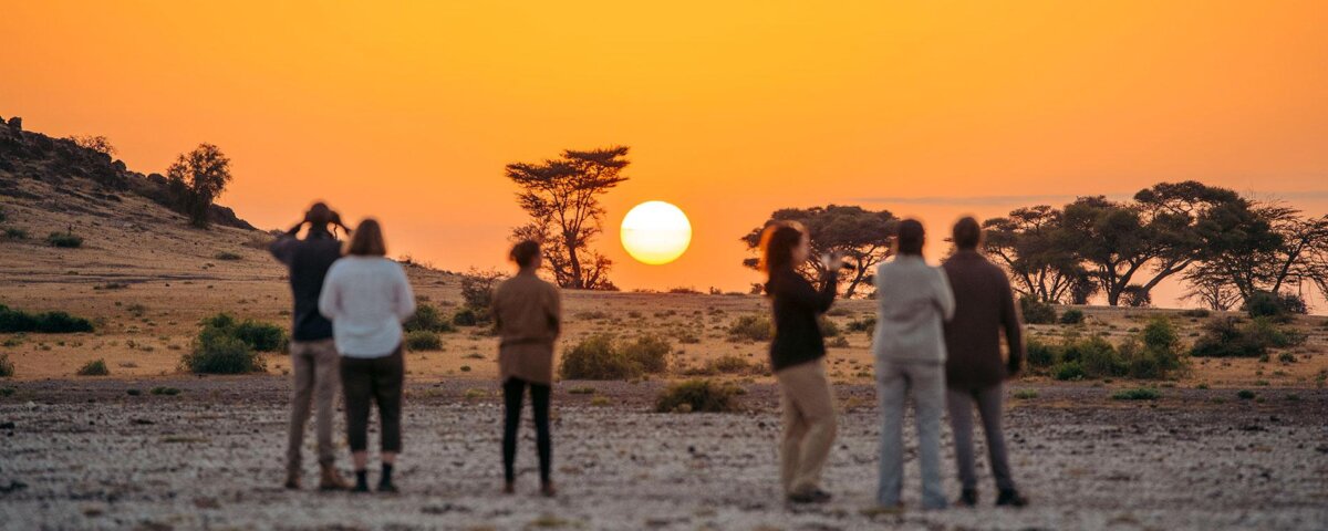 What Is Group Safari in Tanzania