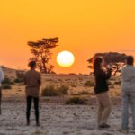 What Is Group Safari in Tanzania