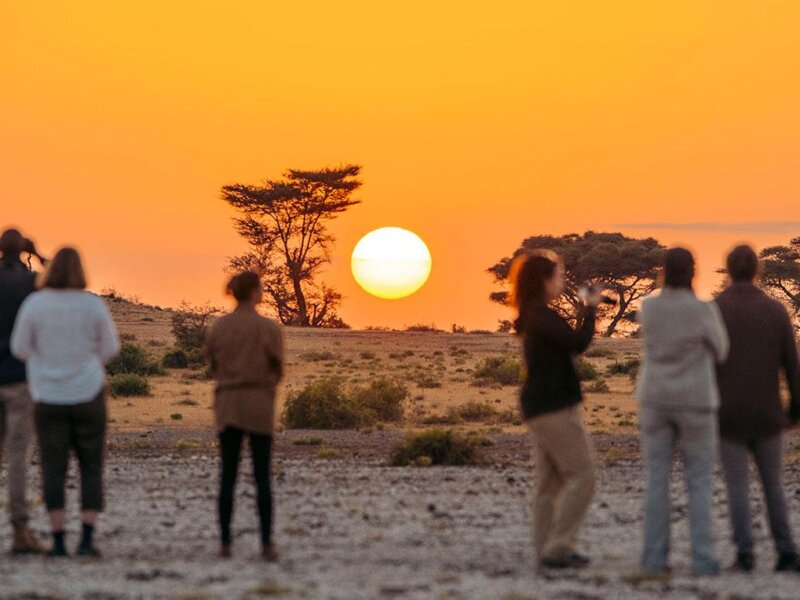 What Is Group Safari in Tanzania
