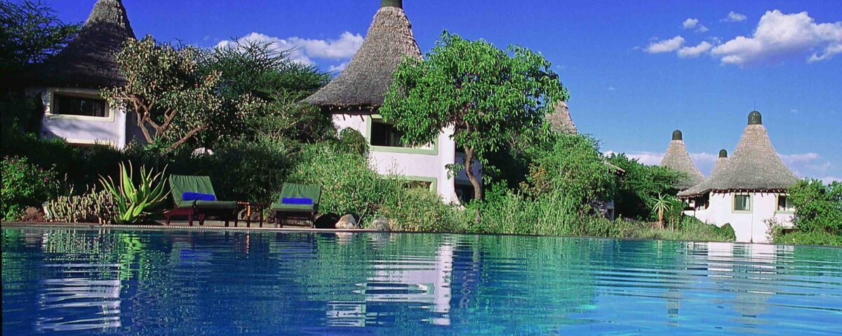 What is budget Serengeti safari cost