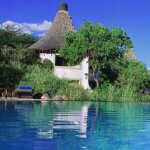 What is budget Serengeti safari cost