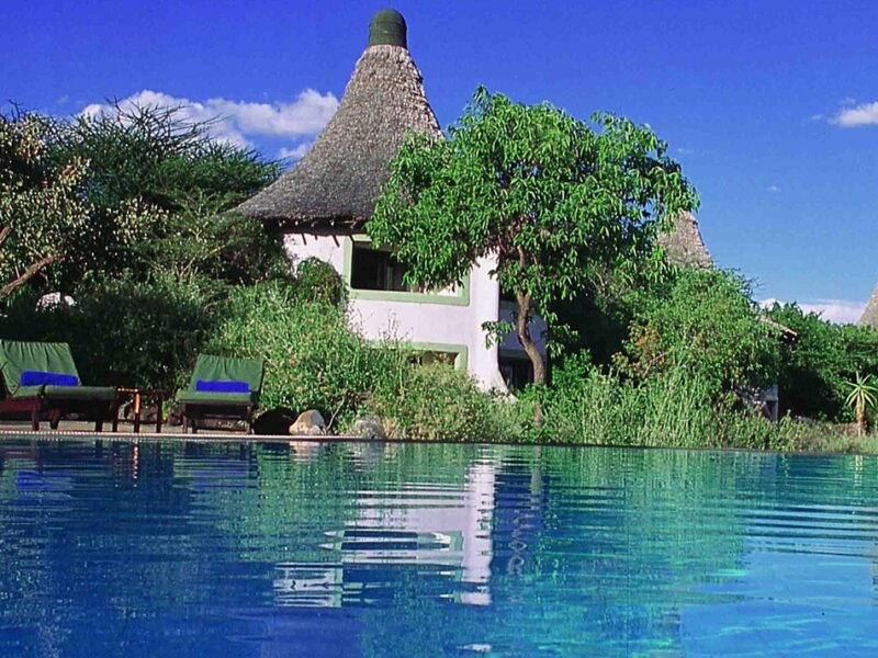 What is budget Serengeti safari cost