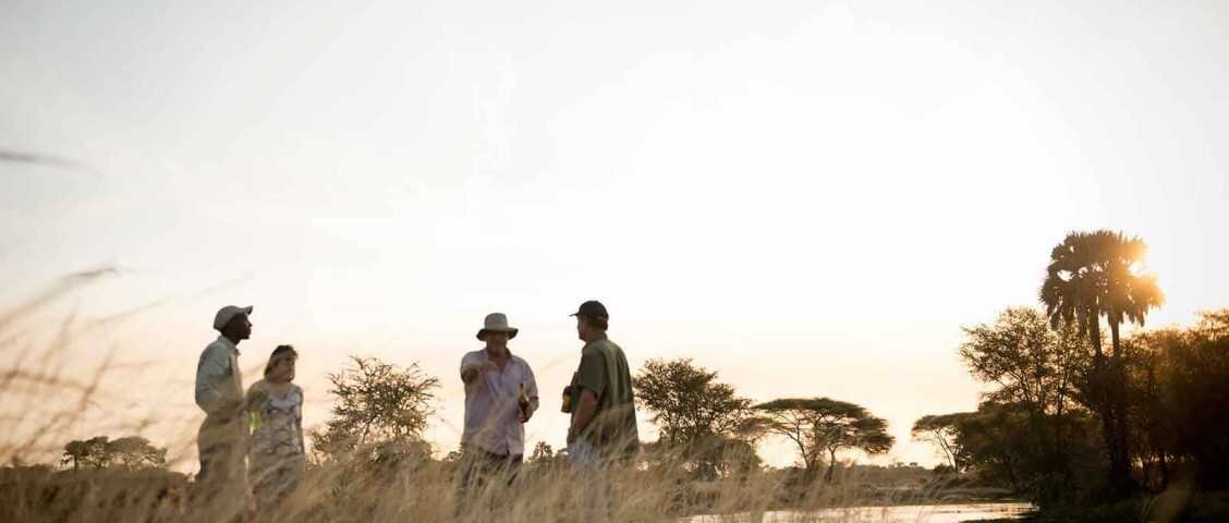 Which Month Is Cheapest for Tanzania Safari
