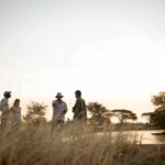 Which Month Is Cheapest for Tanzania Safari