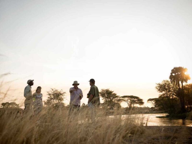Which Month Is Cheapest for Tanzania Safari