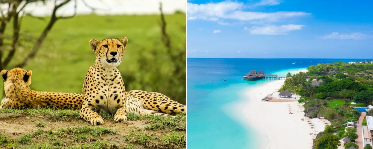 How Do I Plan Zanzibar and Safari Trip