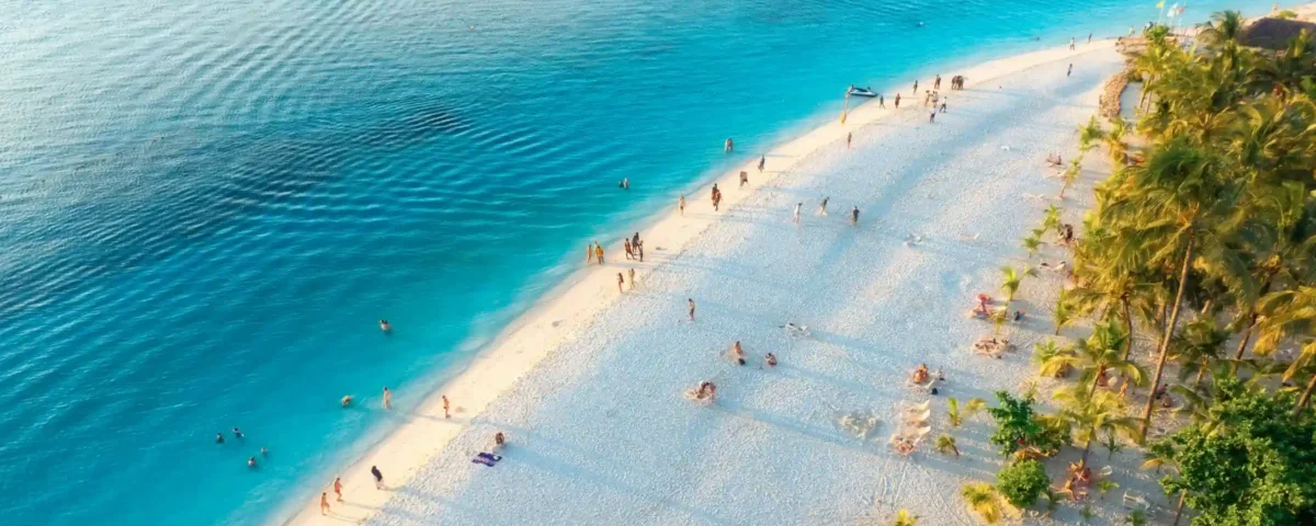 What Is the Best Safari Before Zanzibar Beach Holiday