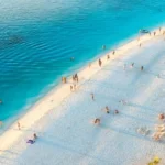 What Is the Best Safari Before Zanzibar Beach Holiday