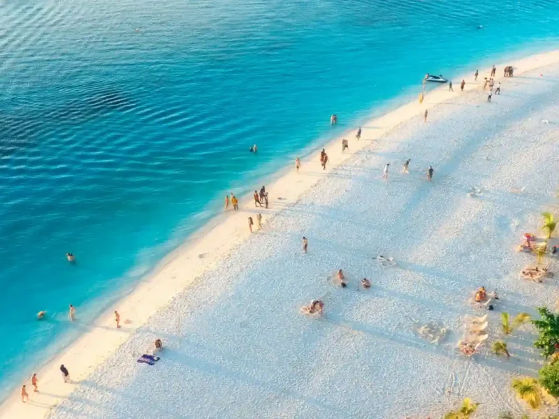 What Is the Best Safari Before Zanzibar Beach Holiday