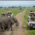 How Far Is Tarangire From Arusha?