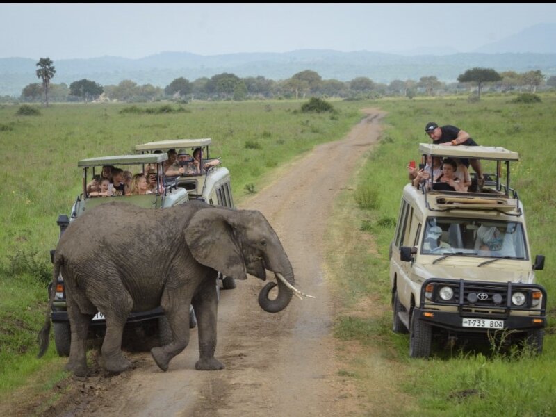 How Far Is Tarangire From Arusha?