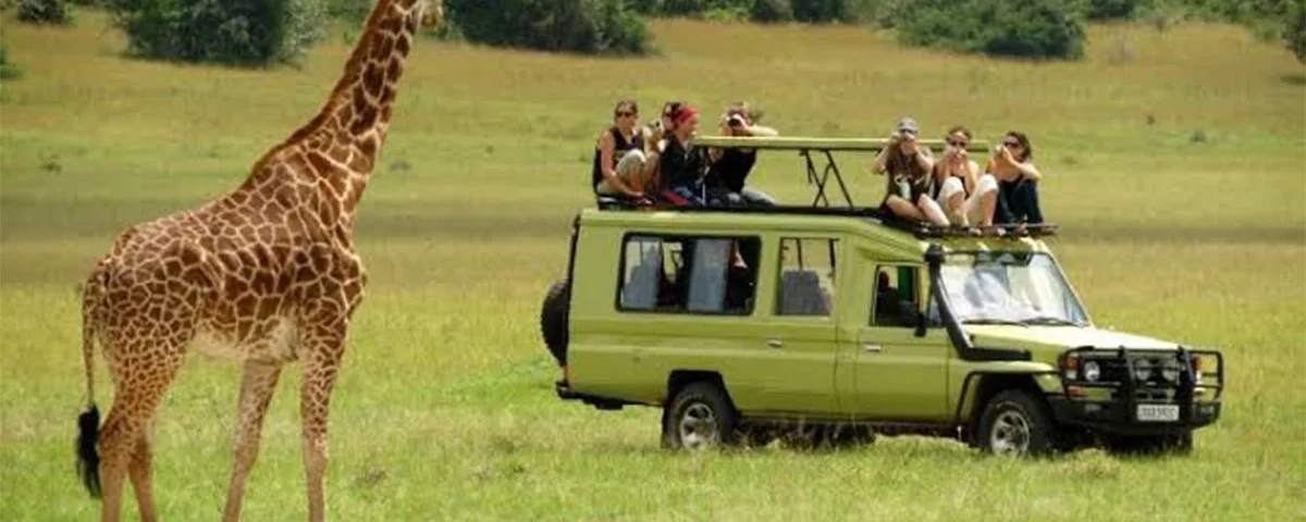 What Is Luxury Northern Tanzania Safari