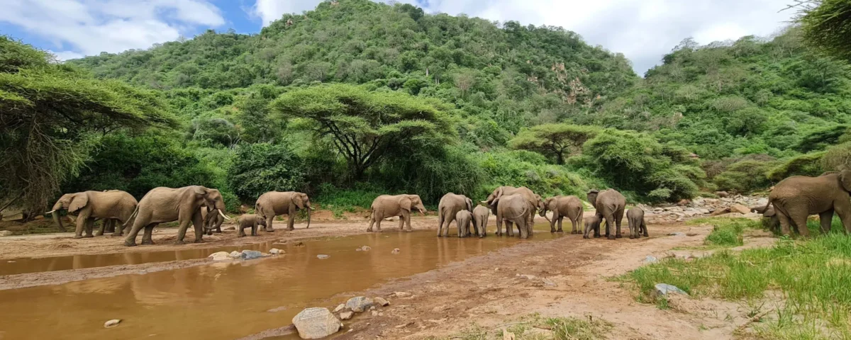How Many Days Should I Spend in Tarangire