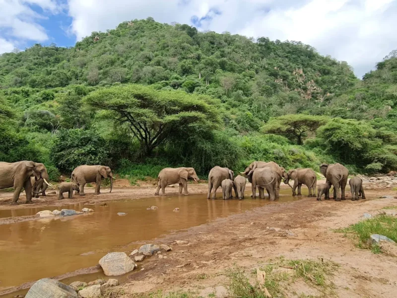 How Many Days Should I Spend in Tarangire