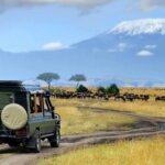 Are Kenya safari guides professional?