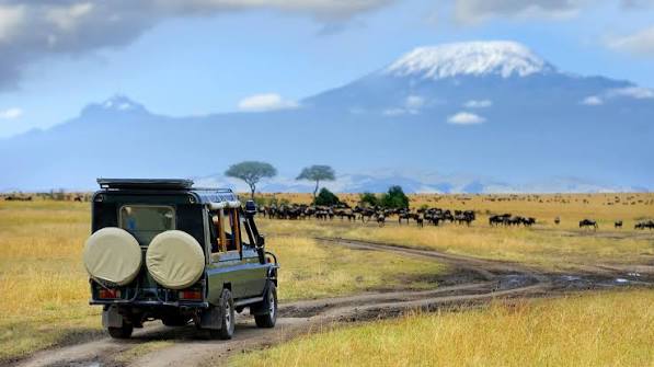Are Kenya safari guides professional?