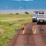 Are Kenya safari roads good?