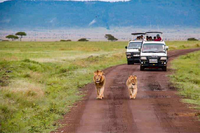 Are Kenya safari roads good?
