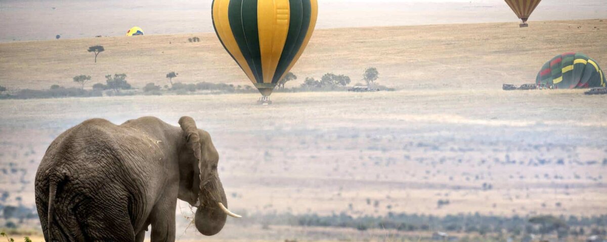 Are Kenya safaris good in December?