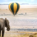 Are Kenya safaris good in December?