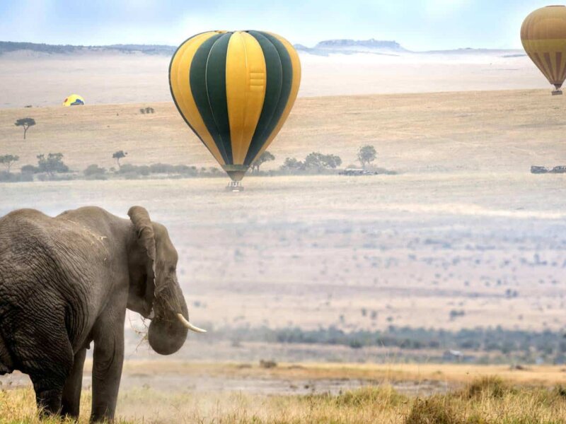 Are Kenya safaris good in December?